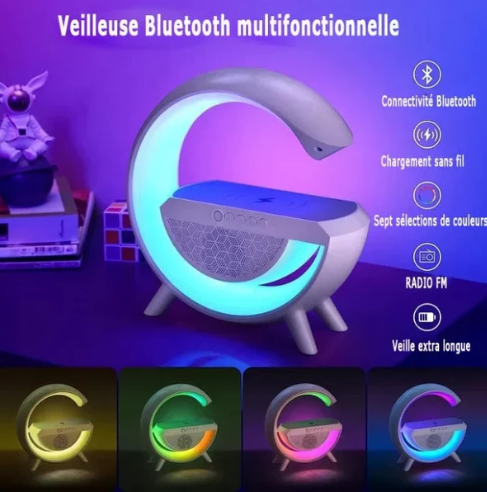 Enceinte Bluetooth Multifonctionnelle